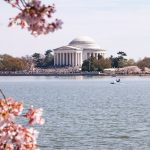 St. Patrick’s Day in DC and Spring Cleaning